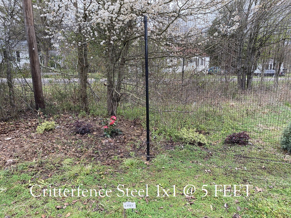 Critterfence Steel Fence 1x1