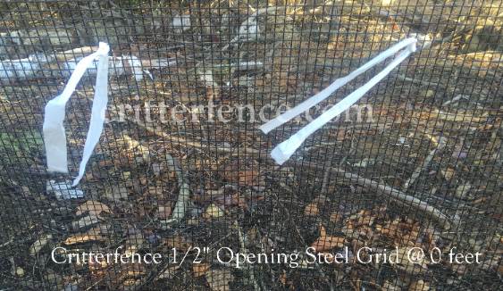 critterfence 1/2" opening steel grid