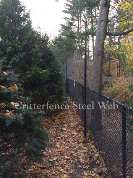Metal deer fences, critterfence steel web