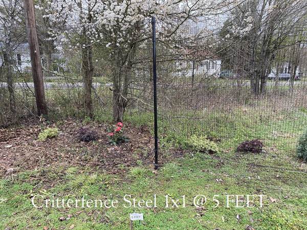 Critterfence Black Steel 1 Inch Square Grid 1 x 100 - 680332611138