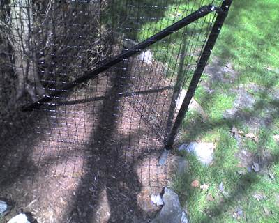 Garden Deer Fence
